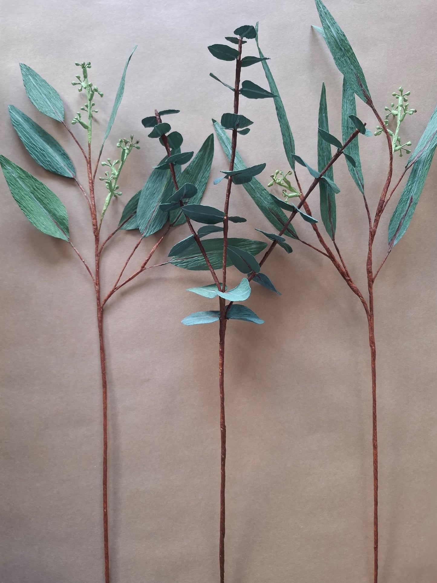 Eucalyptus Trio