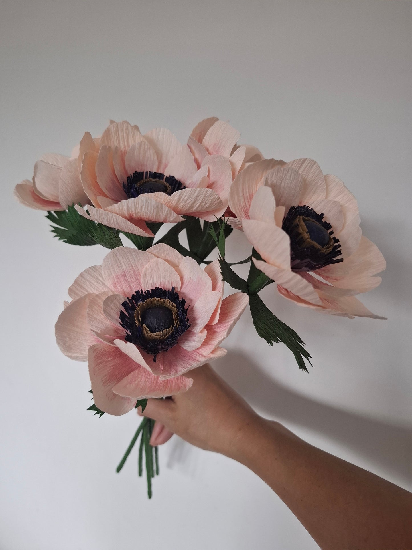 Single Pastel Anemone