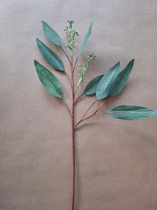 Single Seeded Eucalyptus Branch