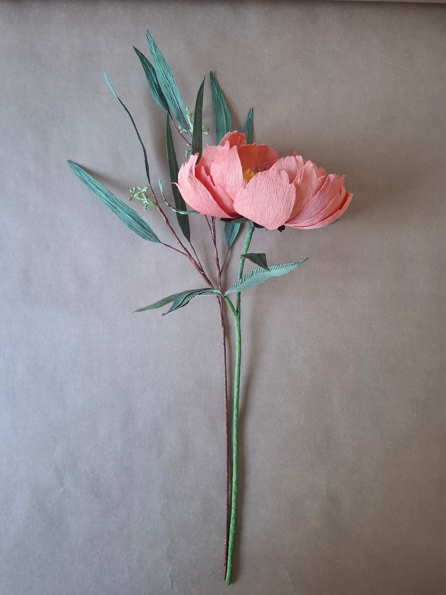 Coral Charm Peony with Seeded Eucalyptus