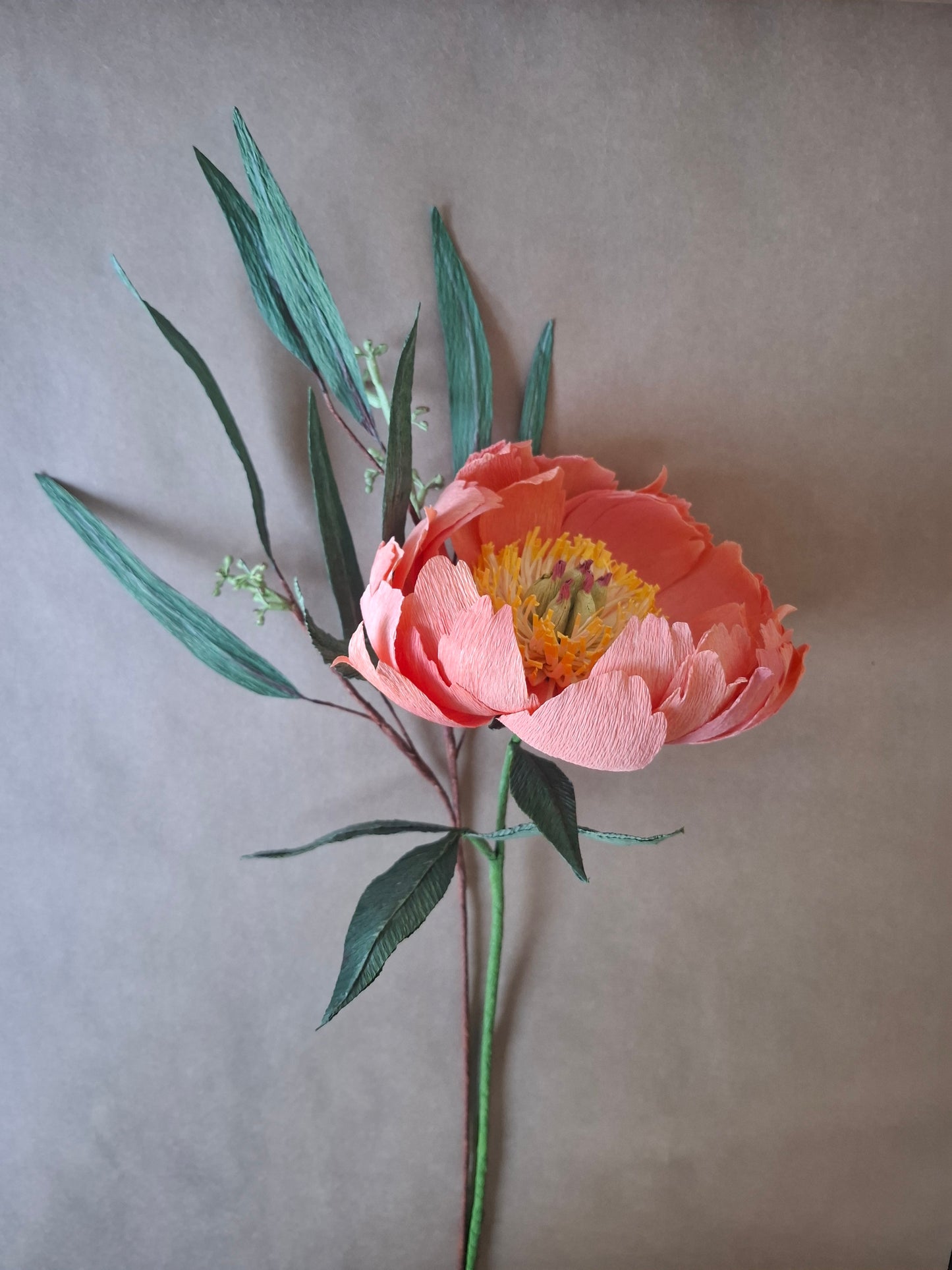 Coral Charm Peony with Seeded Eucalyptus