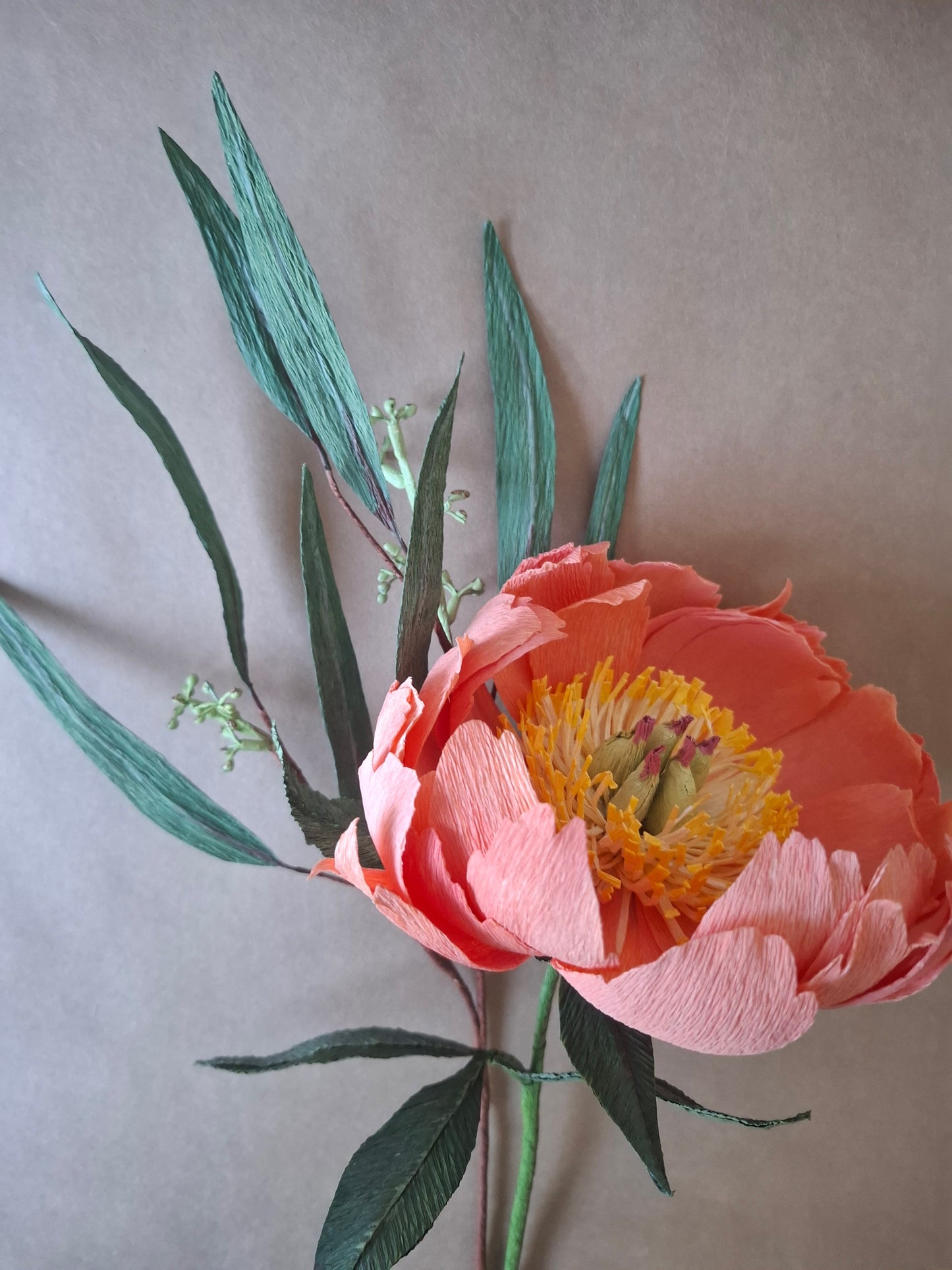 Coral Charm Peony with Seeded Eucalyptus