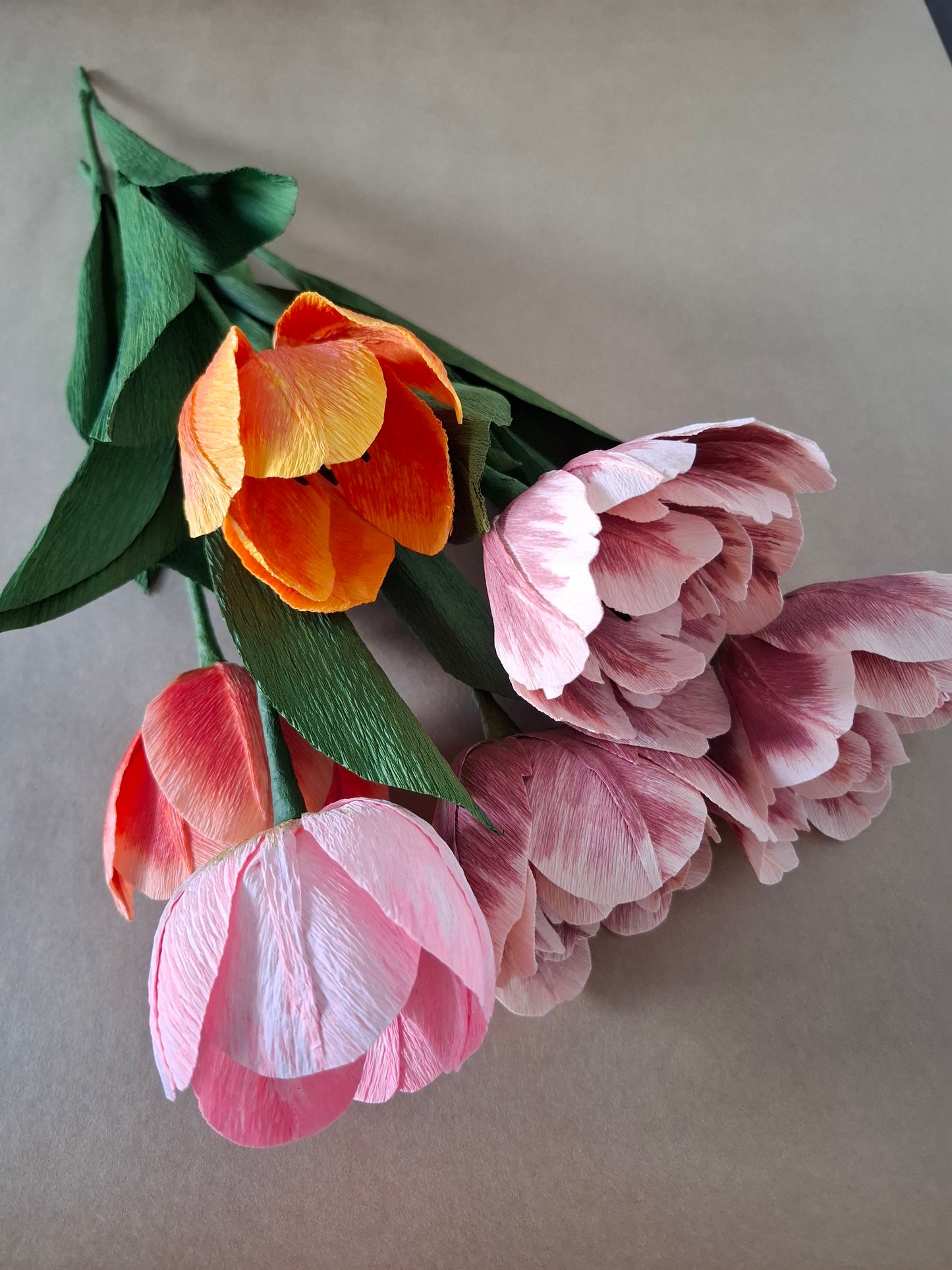 Single Colourful Tulip