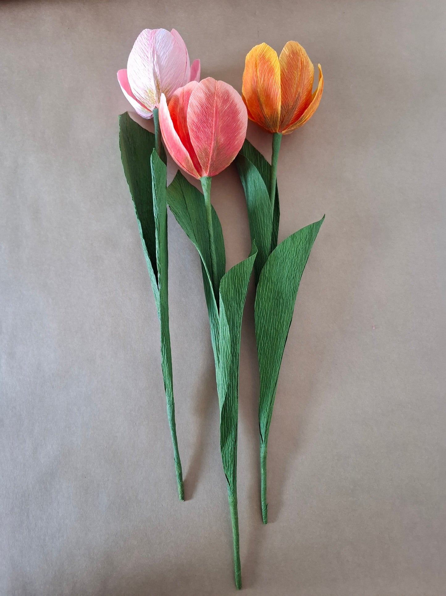 Cheerful Tulip Trio