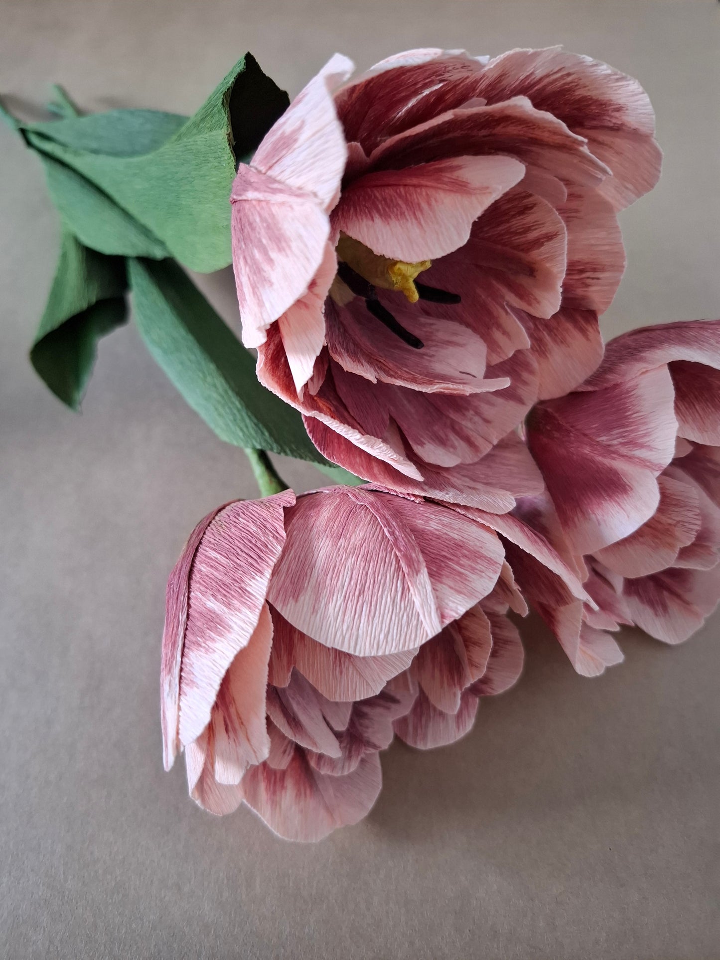 Dusky Tulip Trio