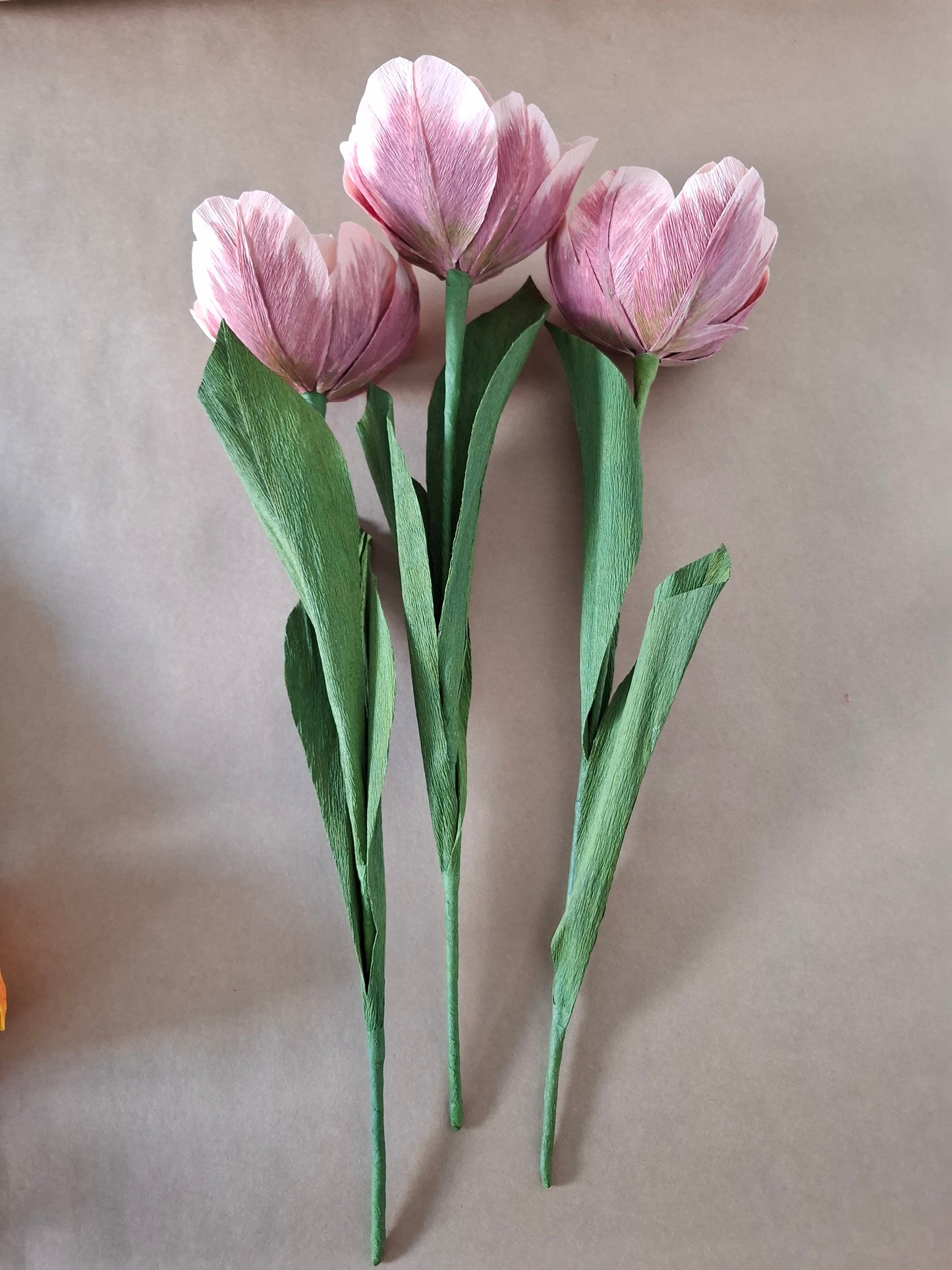 Dusky Tulip Trio