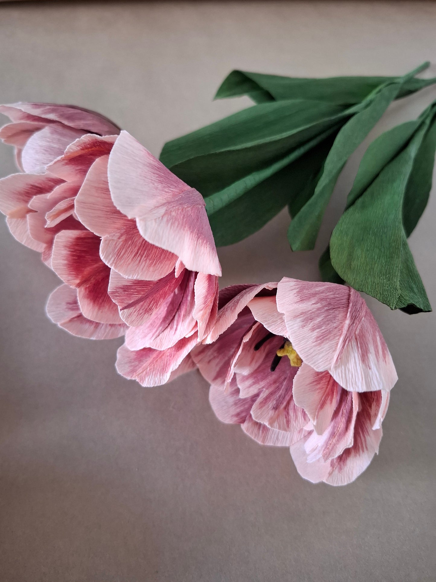 Dusky Tulip Trio