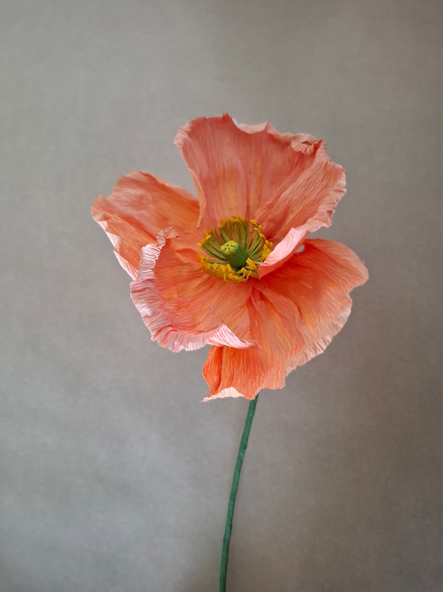 Single Poppy